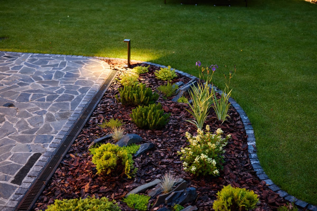 Beautifully designed garden with plants and creative lighting