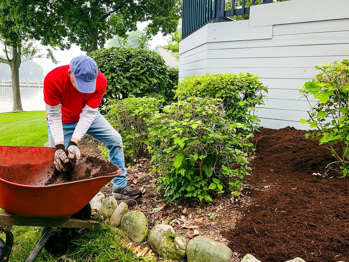 Professional mulch installation in backyard with landscaped garden